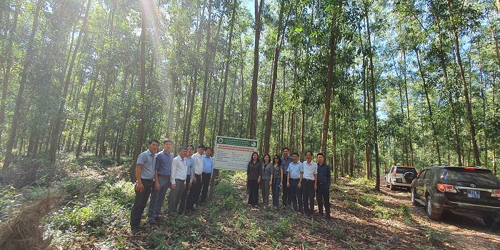 Thứ trưởng Lê Quốc Doanh thăm rừng trồng gỗ lớn của Công ty